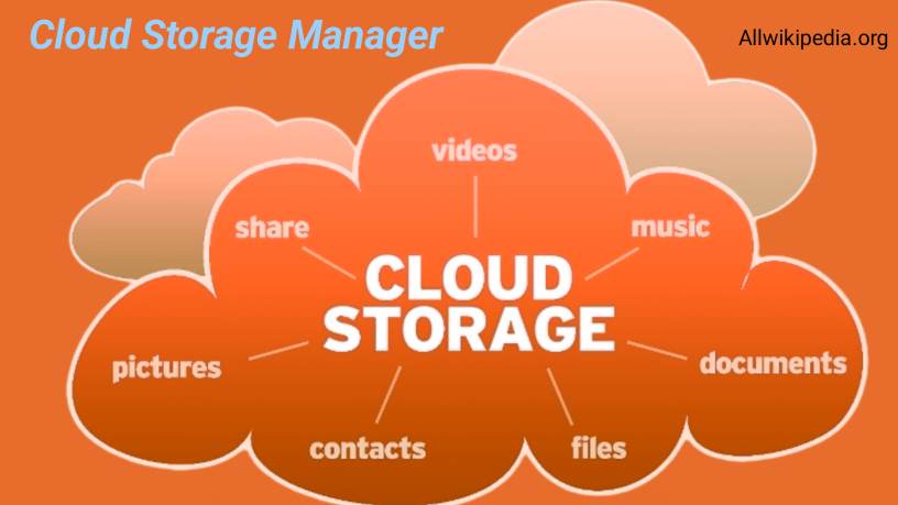 What is a Cloud Storage Manager?